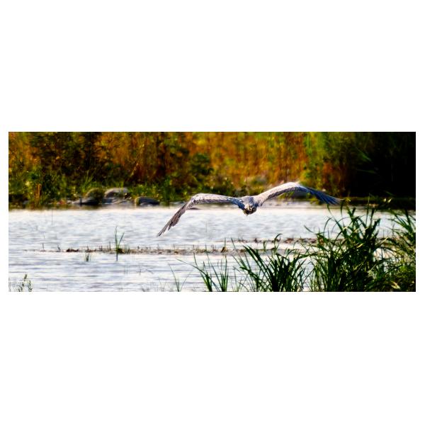 PHOTO84, CLUB, 84 , LUBERON